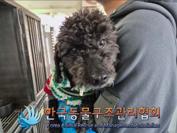 한국동물구조관리협회_441409202500278